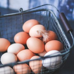 What Do The Different Egg Options Mean?