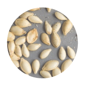 pumpkin seeds rain form protein ingredients